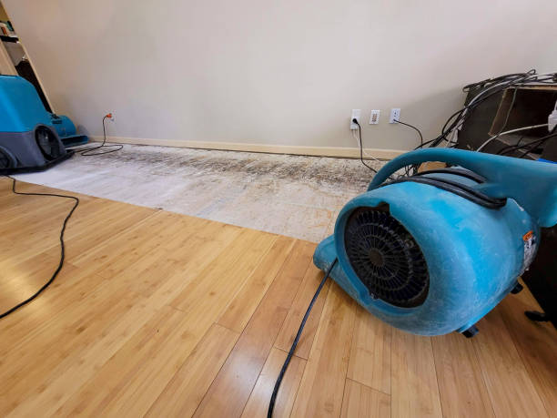 Professional Sewage Cleanup technician working in Marshall, AR
